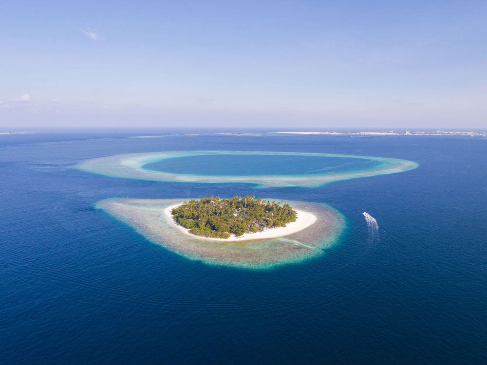 MALAHINI KUDA BANDOS - 1