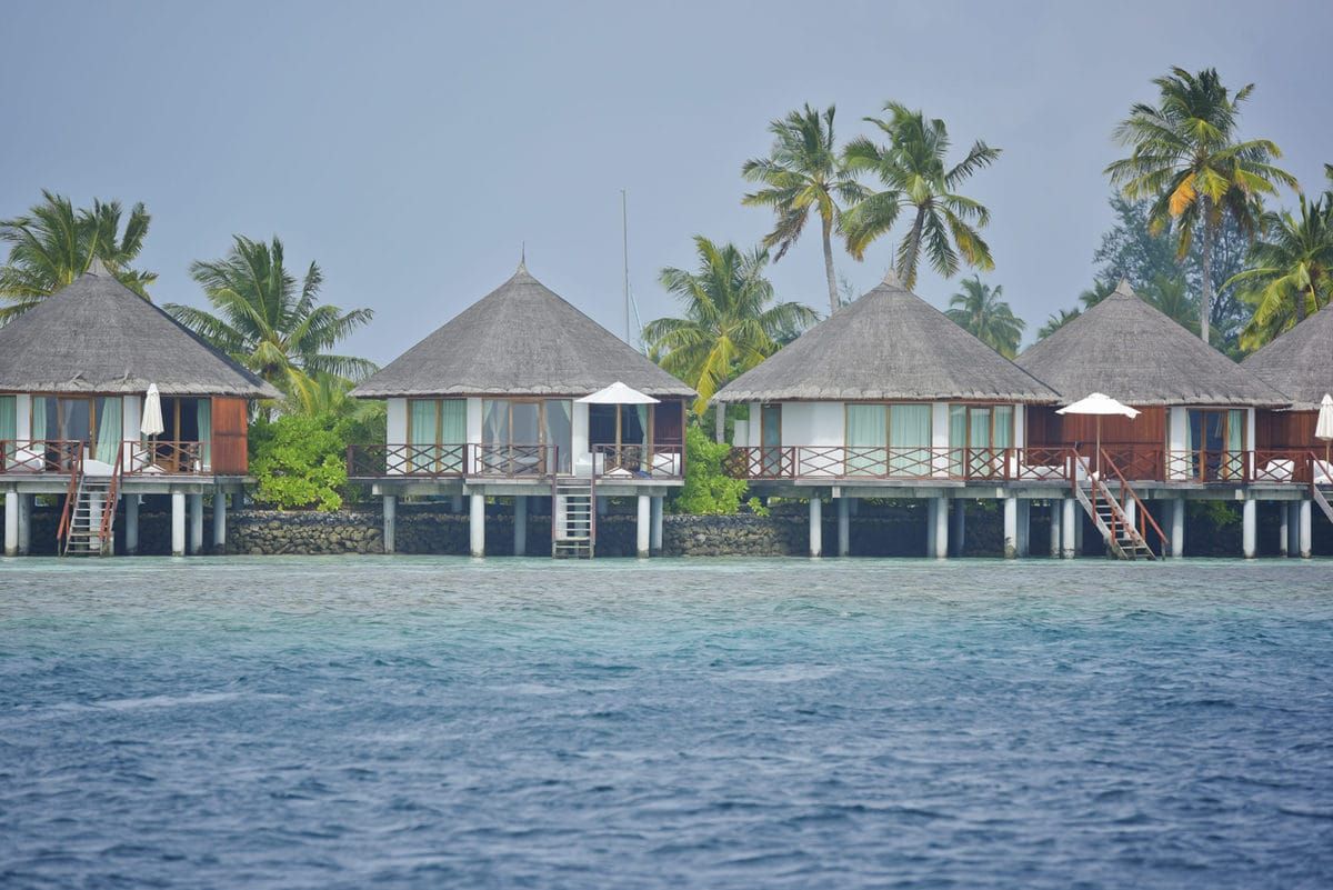 SAFARI ISLAND RESORT - 7