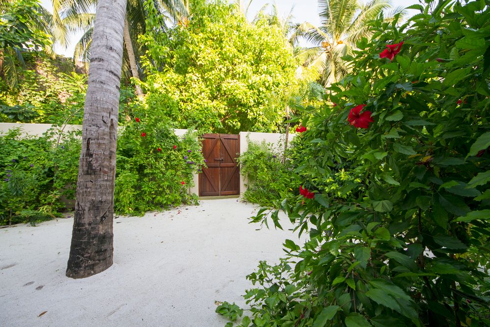 SUMMER ISLAND MALDIVES  - 144