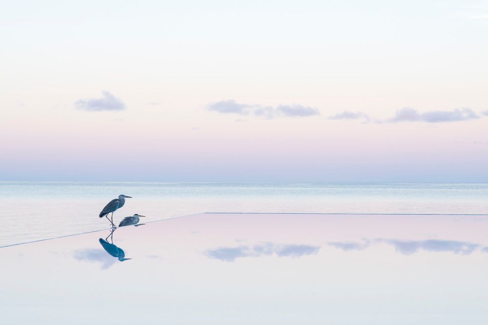 SUMMER ISLAND MALDIVES  - 16