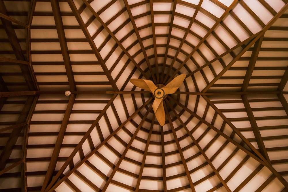 NAKAI MAAYAFUSHI - 63