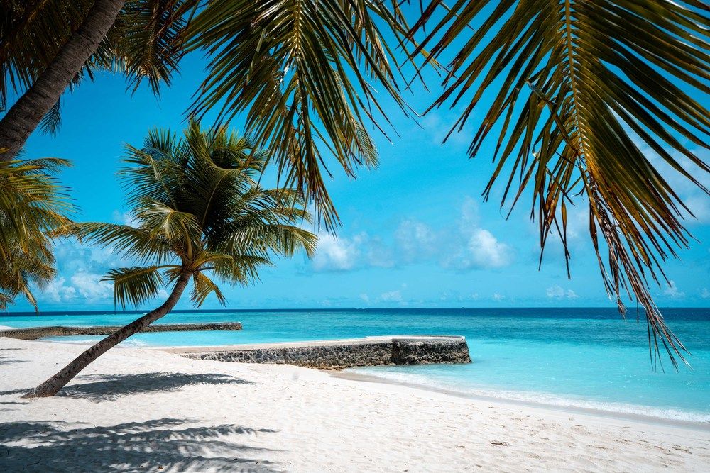 NAKAI DHIGGIRI RESORT (only adults 12) - 39