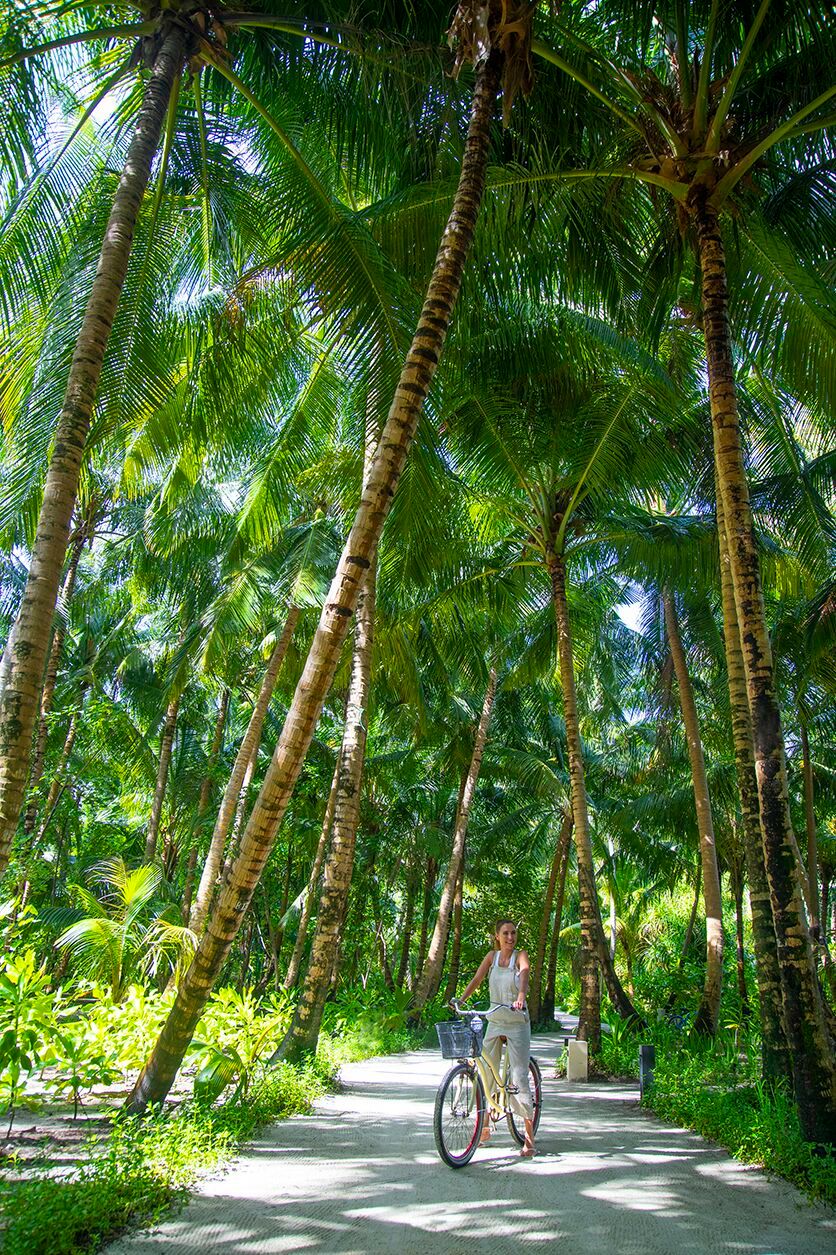 THE RESIDENCE DHIGURAH - 90