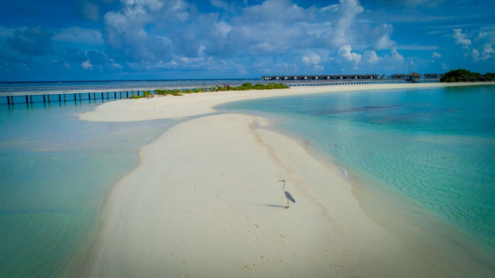 THE RESIDENCE DHIGURAH - 52