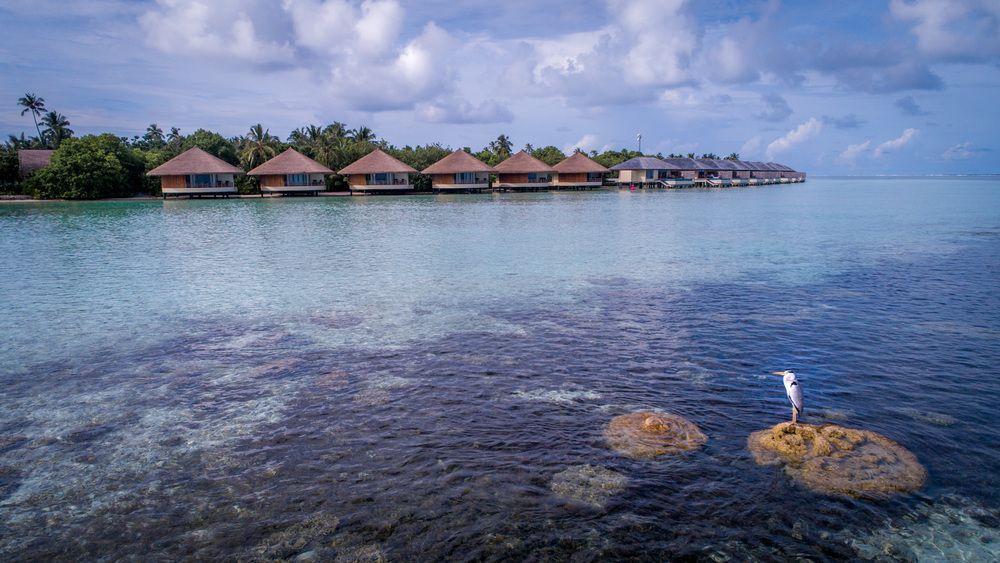 THE RESIDENCE DHIGURAH - 51