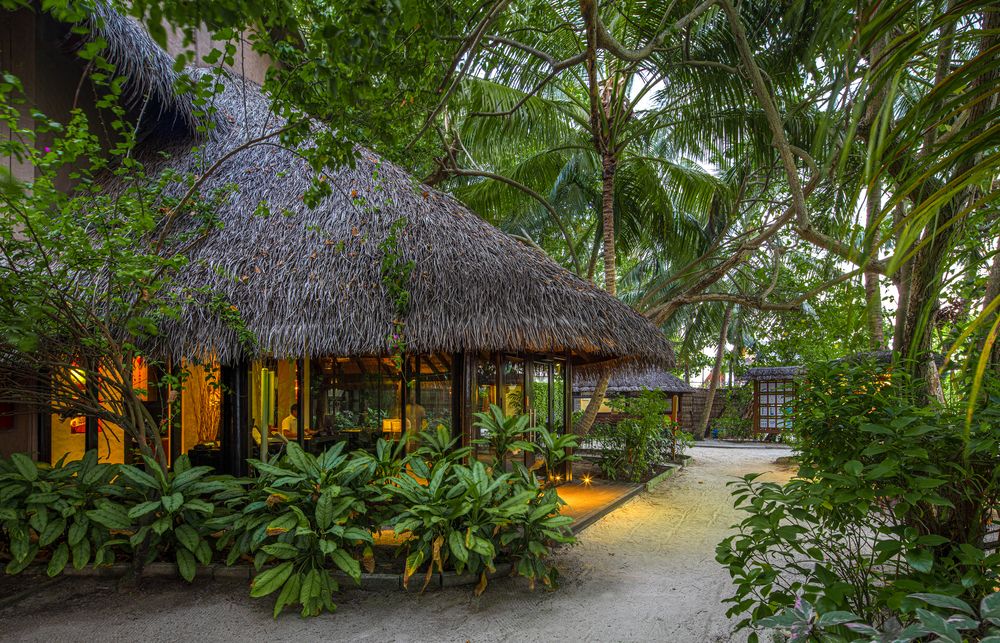 ADAARAN PRESTIGE VADOO MALDIVES (only adults 18) - 3