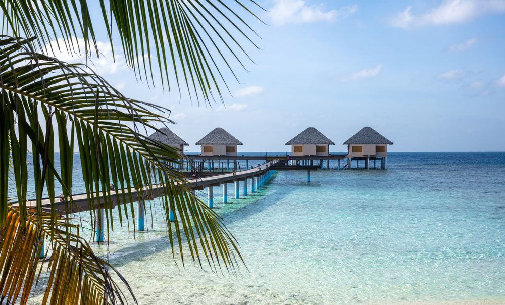 ADAARAN PRESTIGE VADOO MALDIVES (only adults 18) - 1