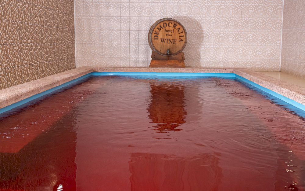 DEMOCRATIA ULTRA ALL INCLUSIVE FAMILY HOTEL (ДЕМОКРАТИЯ ультра все включено), отель - 47