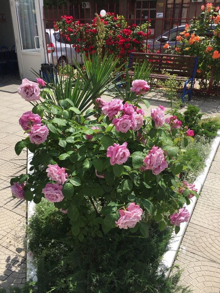 ЧЕРНОМОРОЧКА, отель - 4