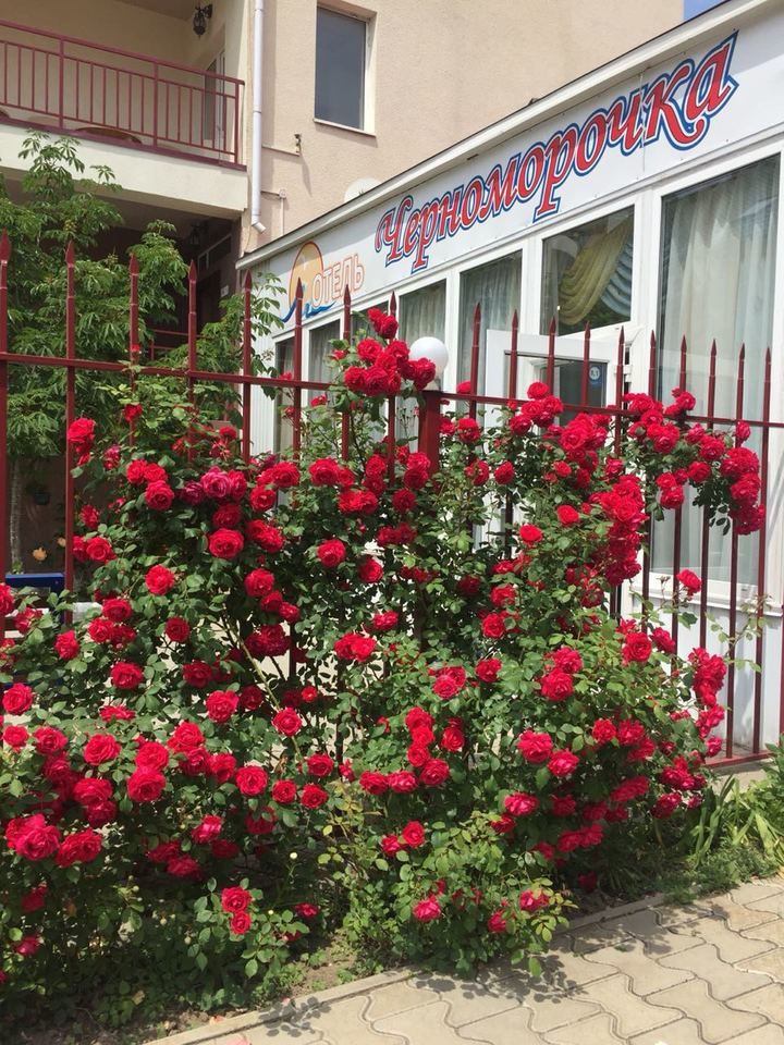 ЧЕРНОМОРОЧКА, отель - 5