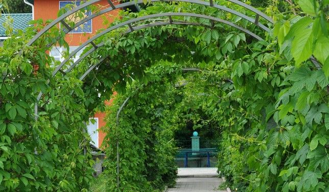 ВИЛЛА АРНЕСТ, санаторий - 9