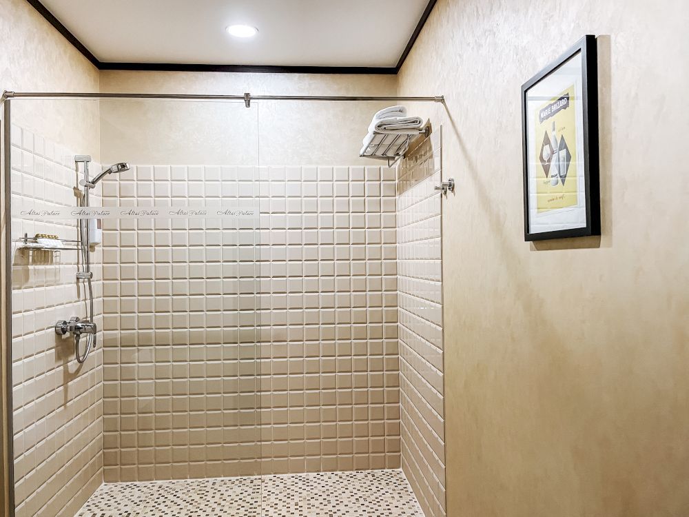 ALTAI PALACE, отель - 44