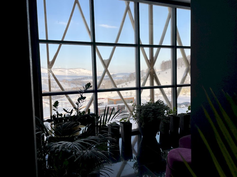 ALTAI PALACE, отель - 15