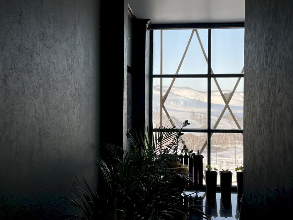 ALTAI PALACE, отель - 14