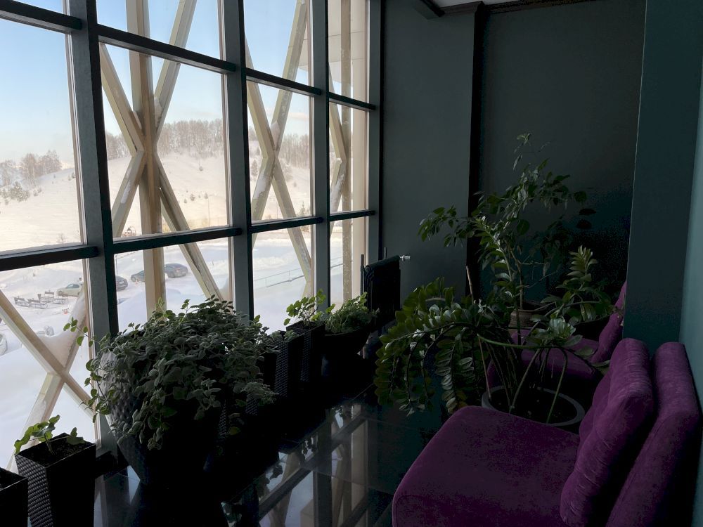 ALTAI PALACE, отель - 13