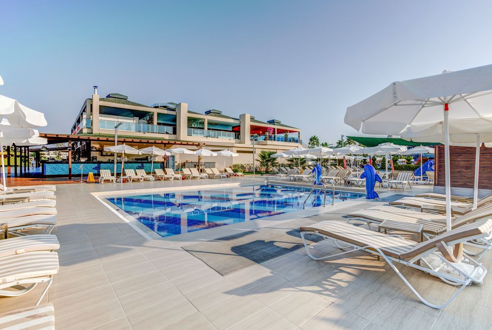 Magic Life Jacaranda - 15