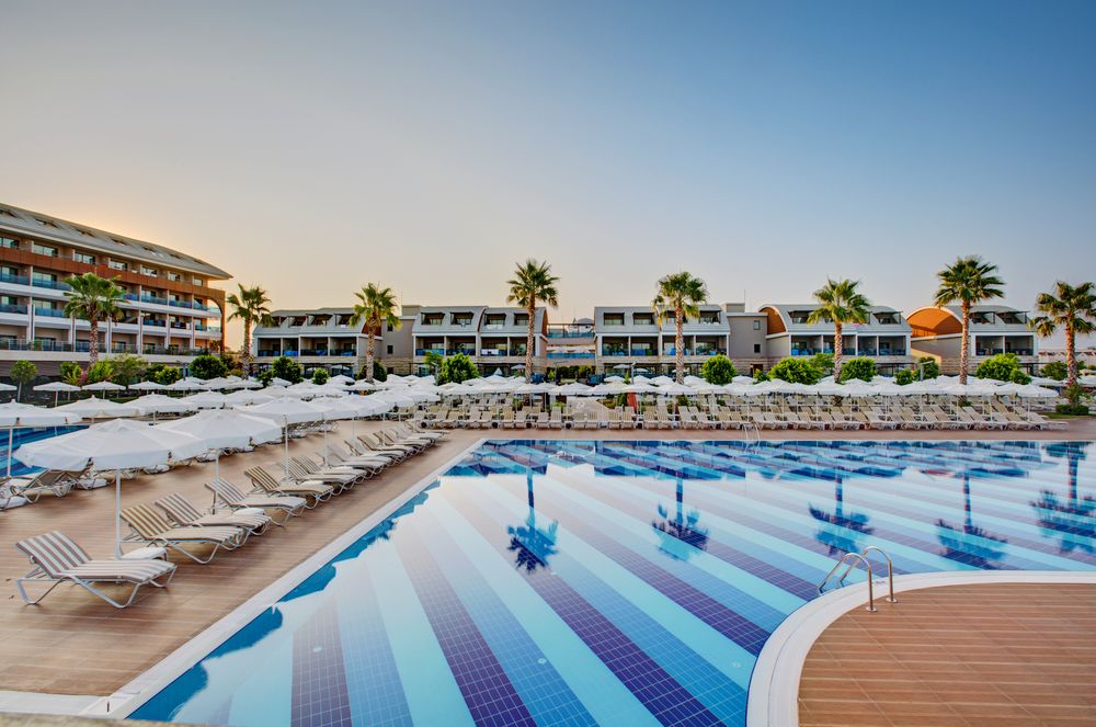 Magic Life Jacaranda - 14