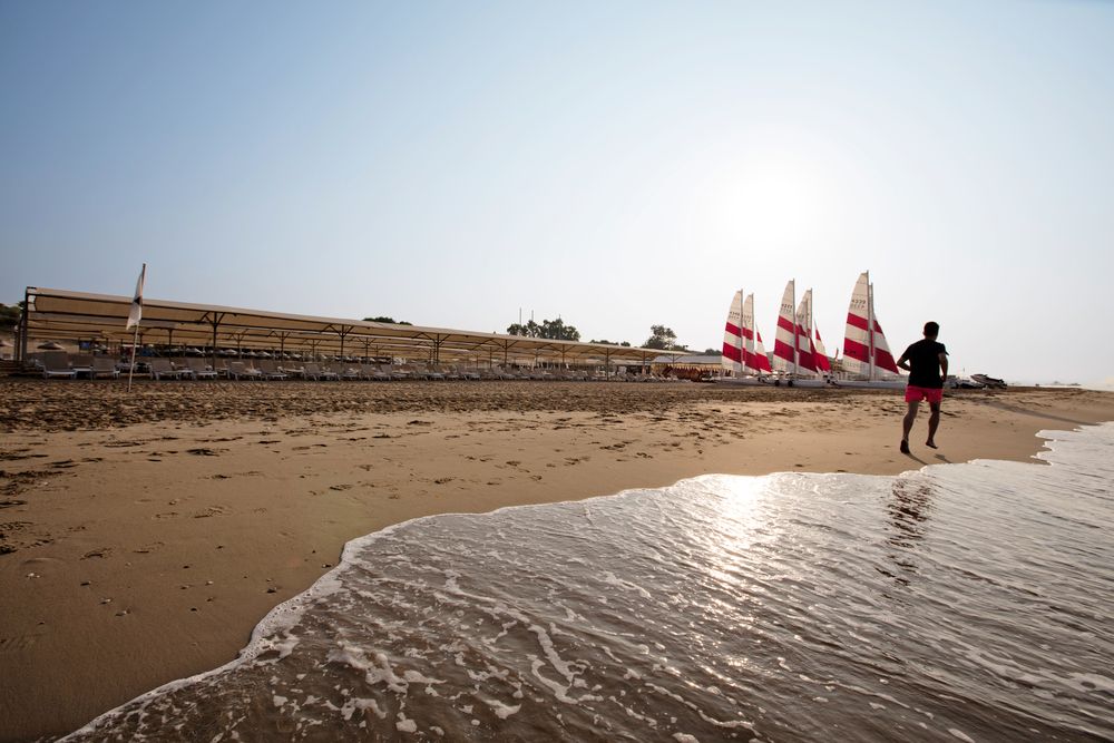 Magic Life Jacaranda - 24