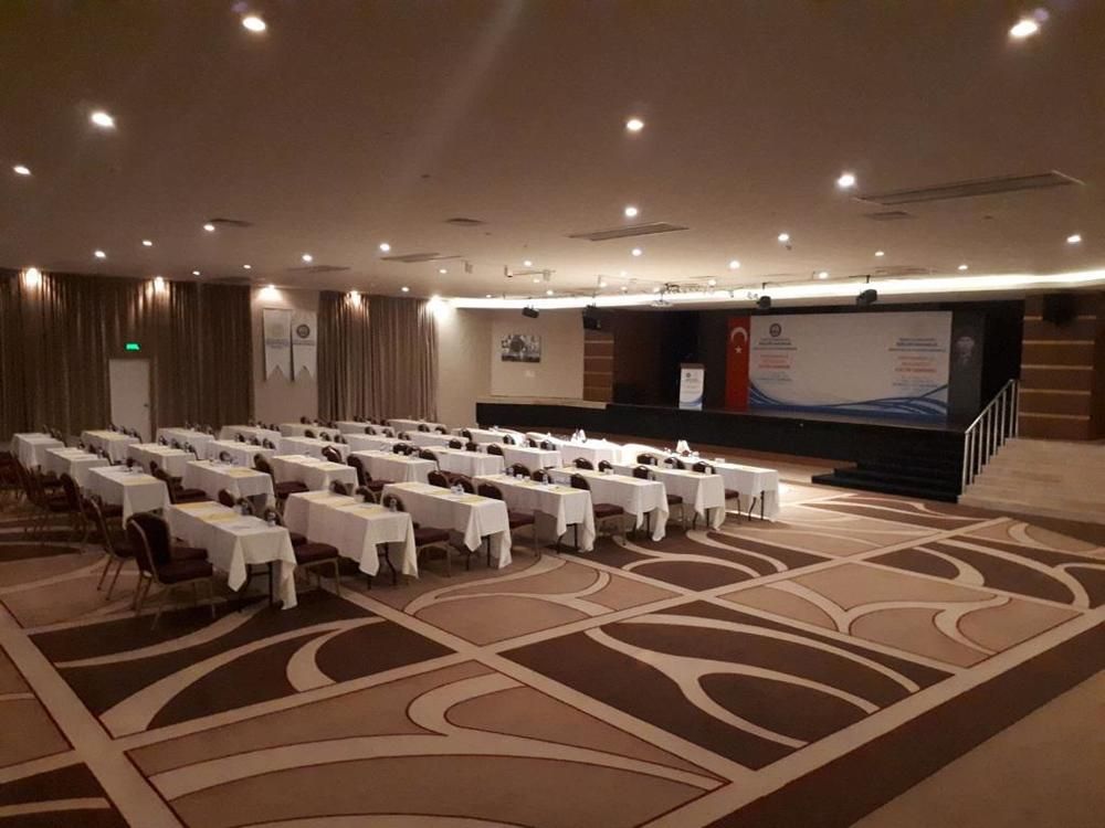 Magic Life Jacaranda - 53