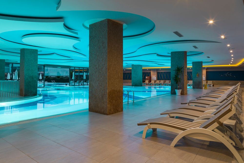 Magic Life Jacaranda - 56