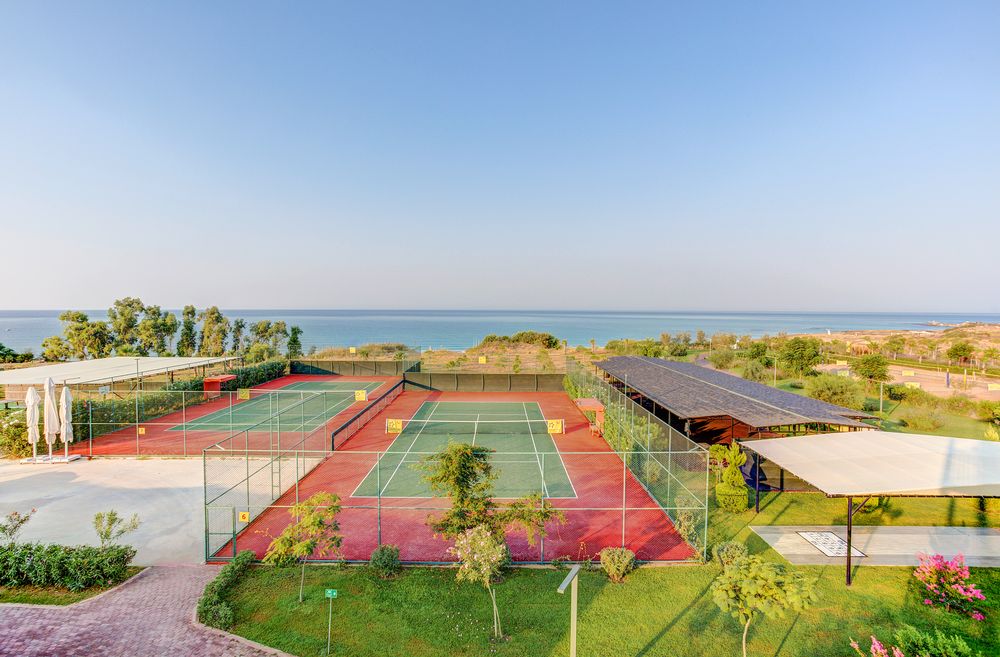 Magic Life Jacaranda - 67