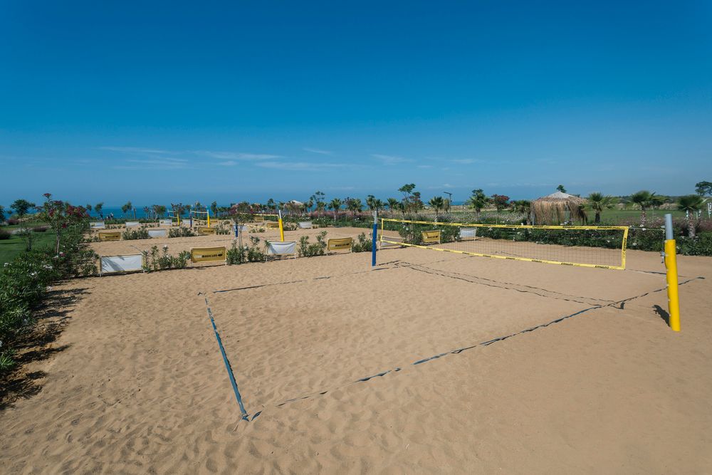 Magic Life Jacaranda - 65