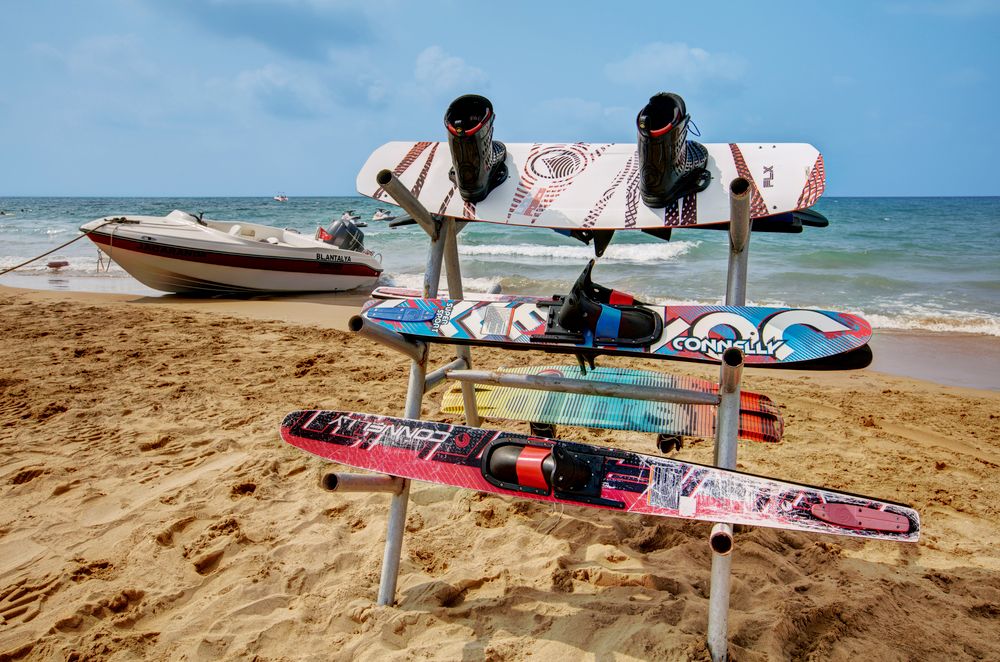 Magic Life Jacaranda - 72