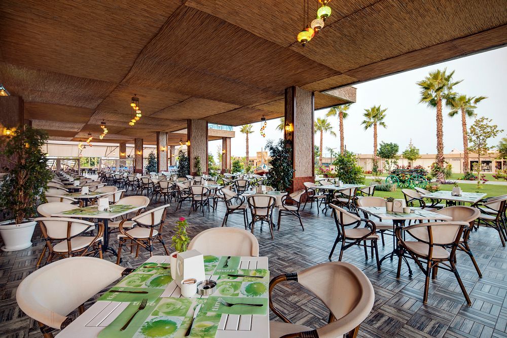 Magic Life Jacaranda - 46