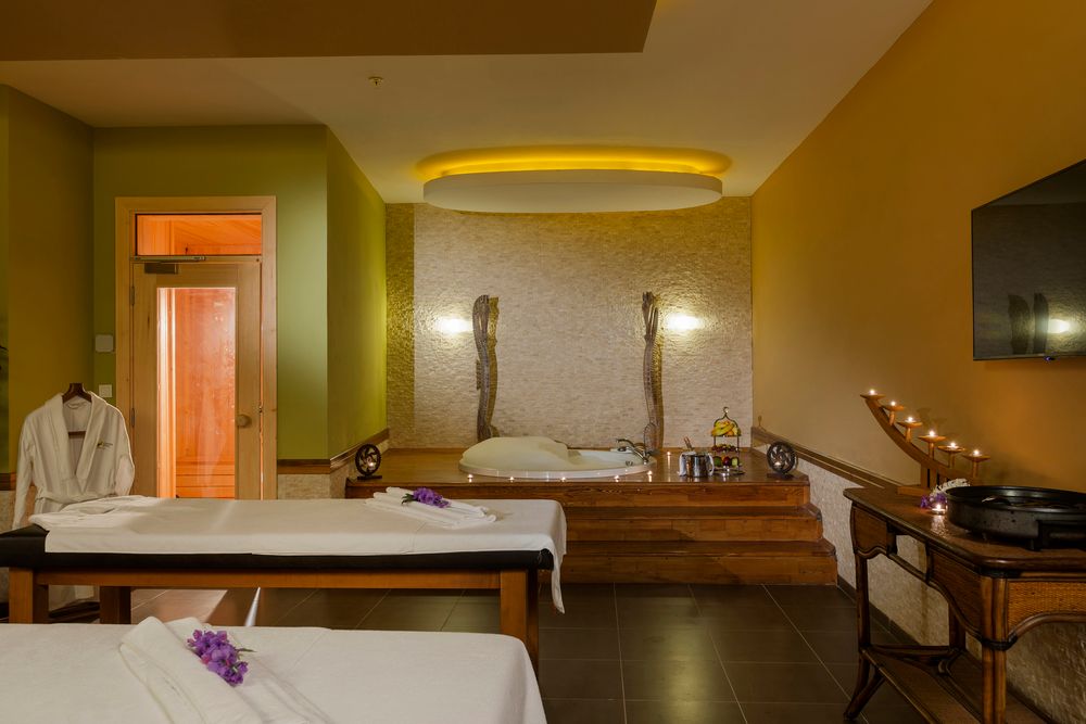 Magic Life Jacaranda - 61