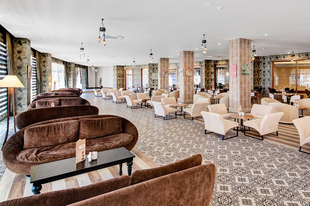 Magic Life Jacaranda - 28