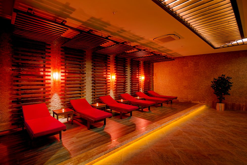 Magic Life Jacaranda - 60