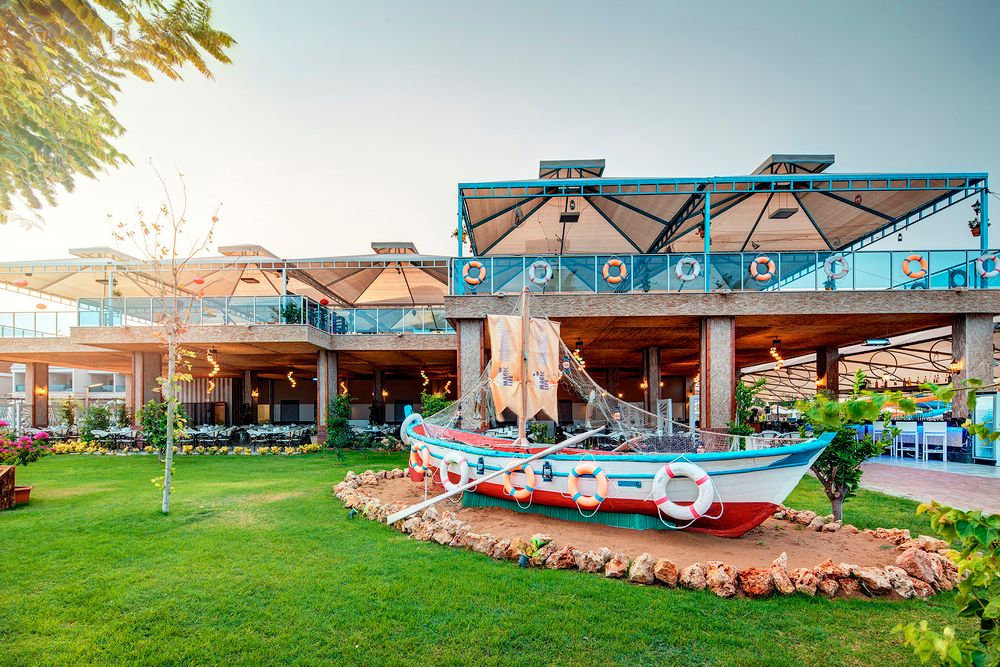 Magic Life Jacaranda - 44