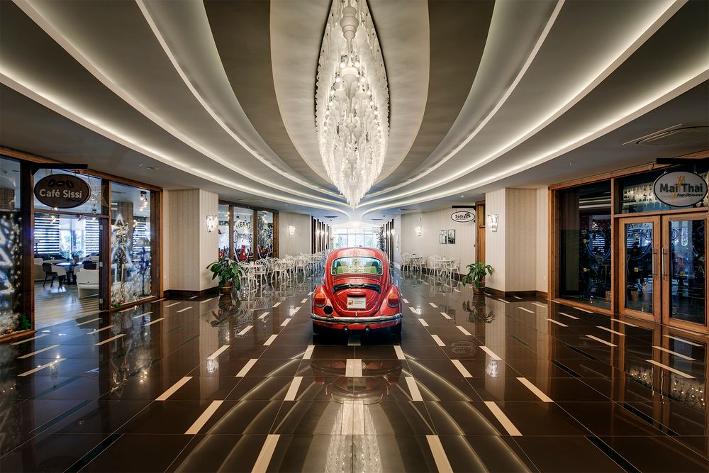 Magic Life Jacaranda - 29