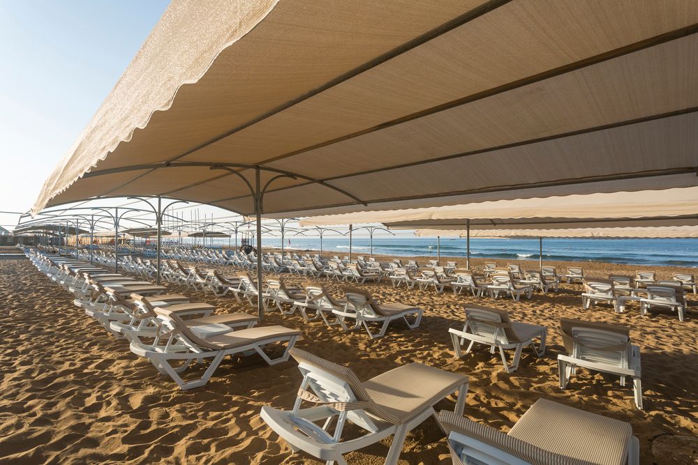 Magic Life Jacaranda - 22