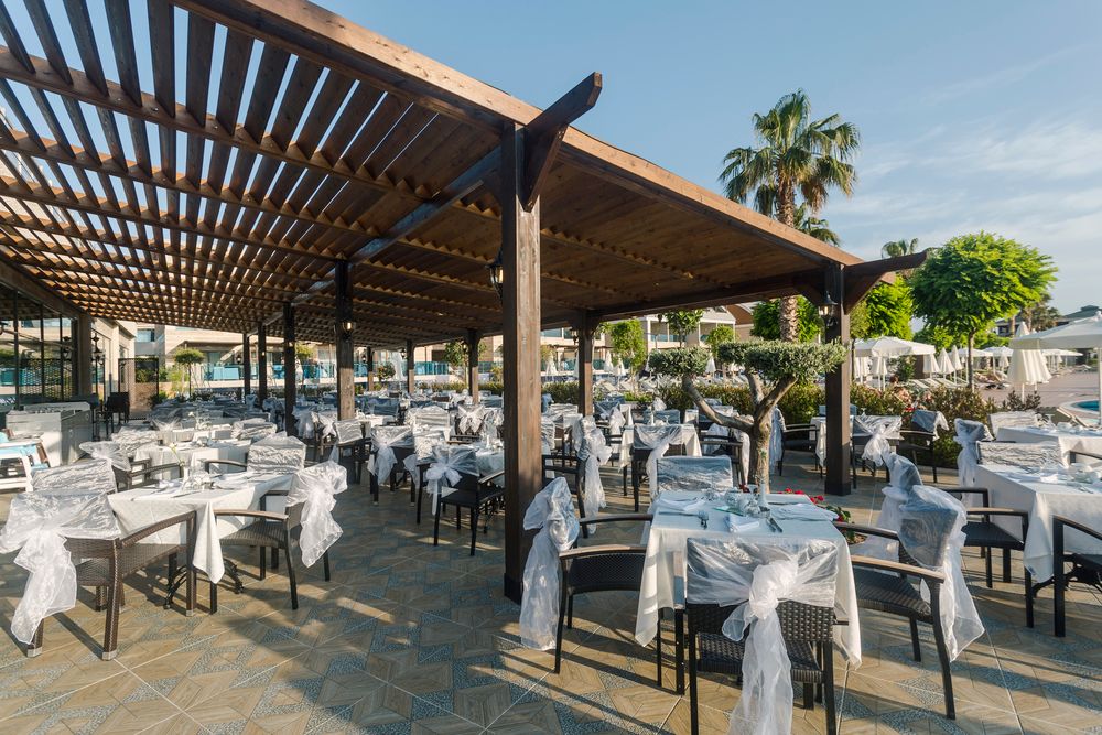 Magic Life Jacaranda - 39