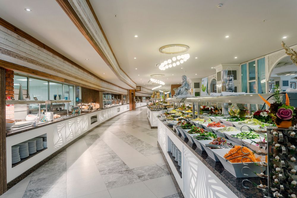 Magic Life Jacaranda - 33