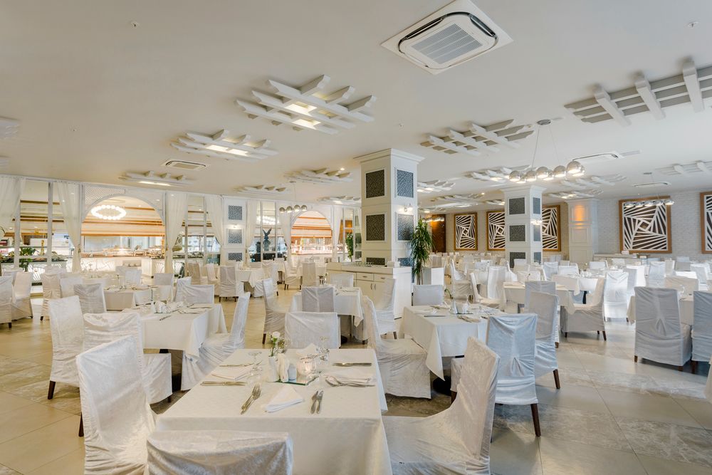 Magic Life Jacaranda - 30