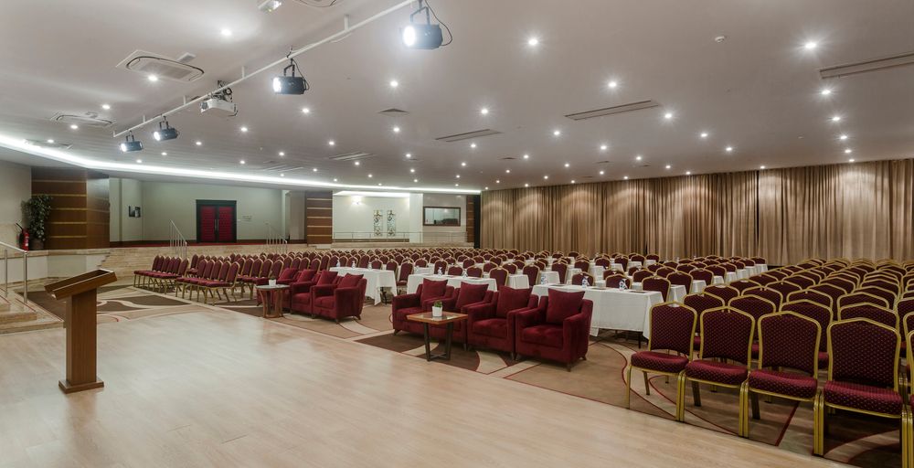 Magic Life Jacaranda - 54