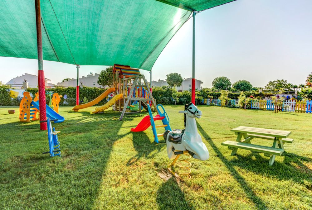 Magic Life Jacaranda - 76