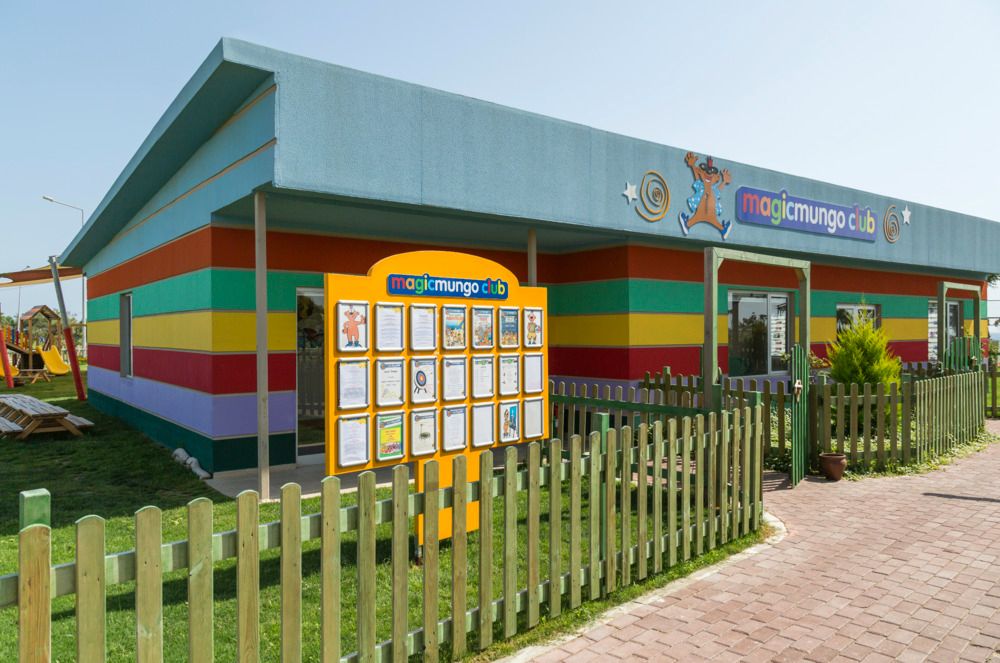 Magic Life Jacaranda - 78