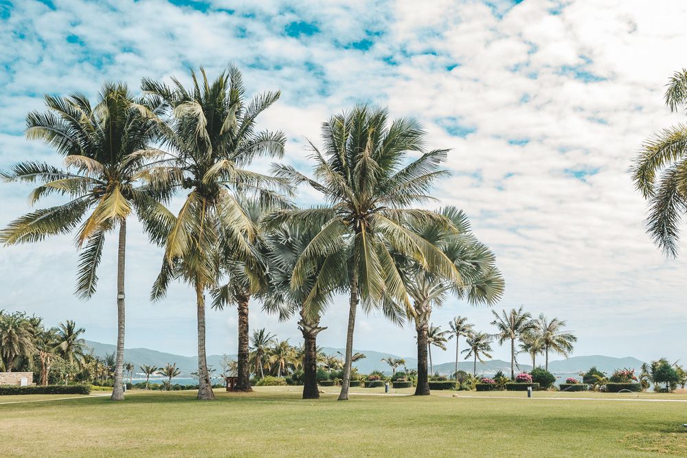 THE ST. REGIS SANYA YALONG BAY RESORT - 49