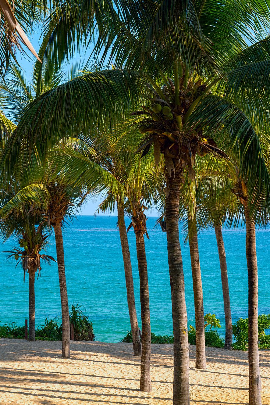THE ST. REGIS SANYA YALONG BAY RESORT - 56