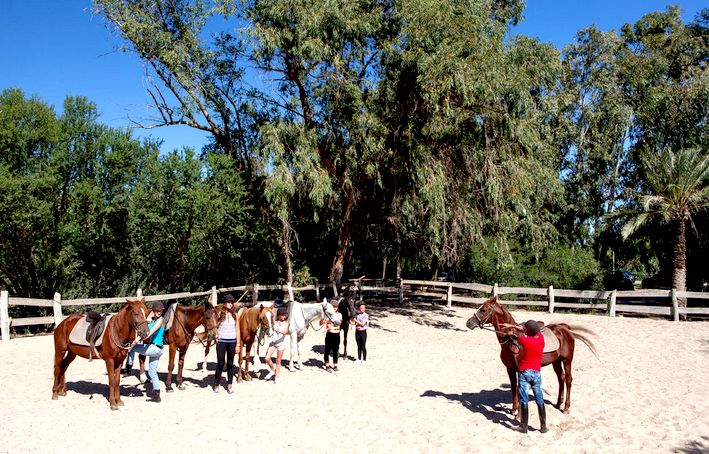 SAHARA BEACH AQUAPARK RESORT - 36