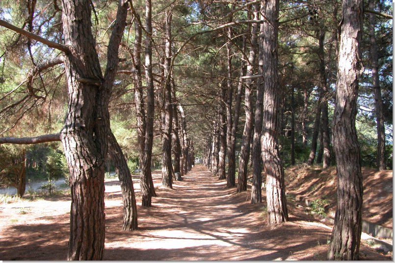 МЕЛАНИ, гостевой дом - 17