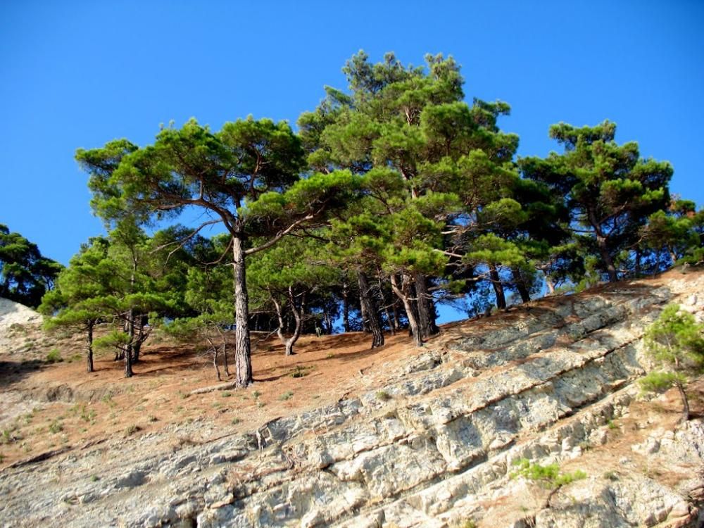 МЕЛАНИ, гостевой дом - 15