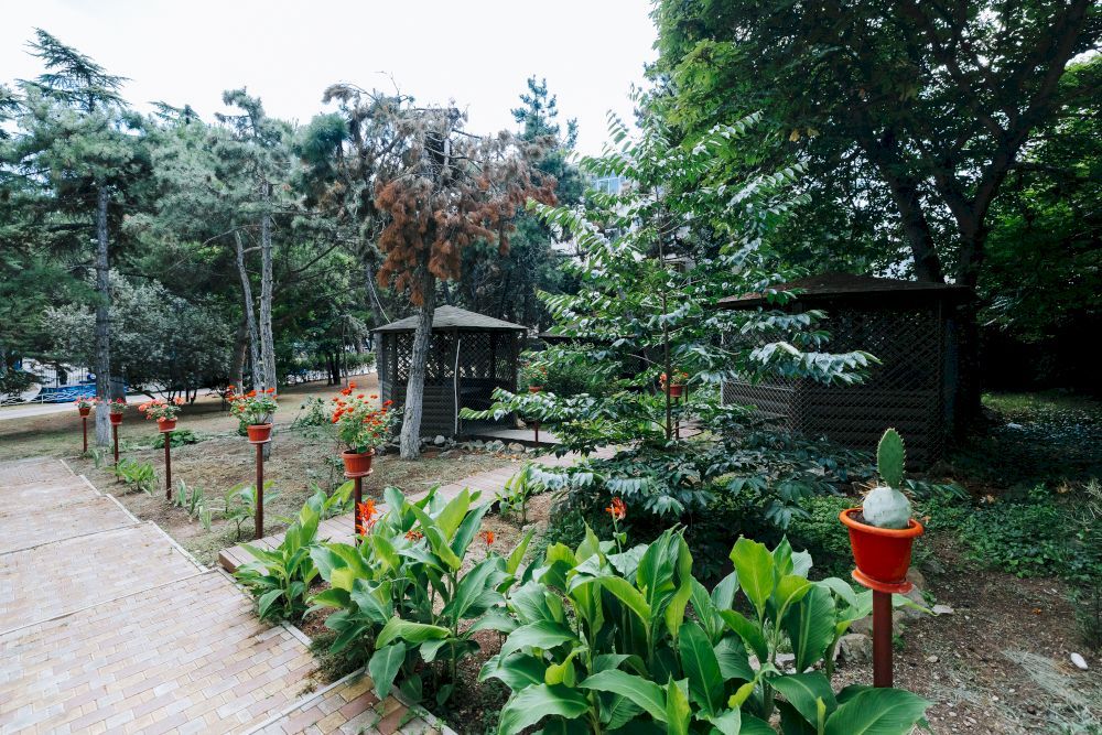 ПРАГА, парк-отель (Алушта) - 4