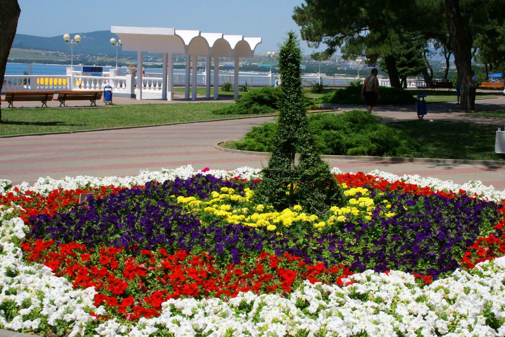 ORCHESTRA HORIZONT GELENDZHIK RESORT (бывш. ЛОК ГОРИЗОНТ) - 13