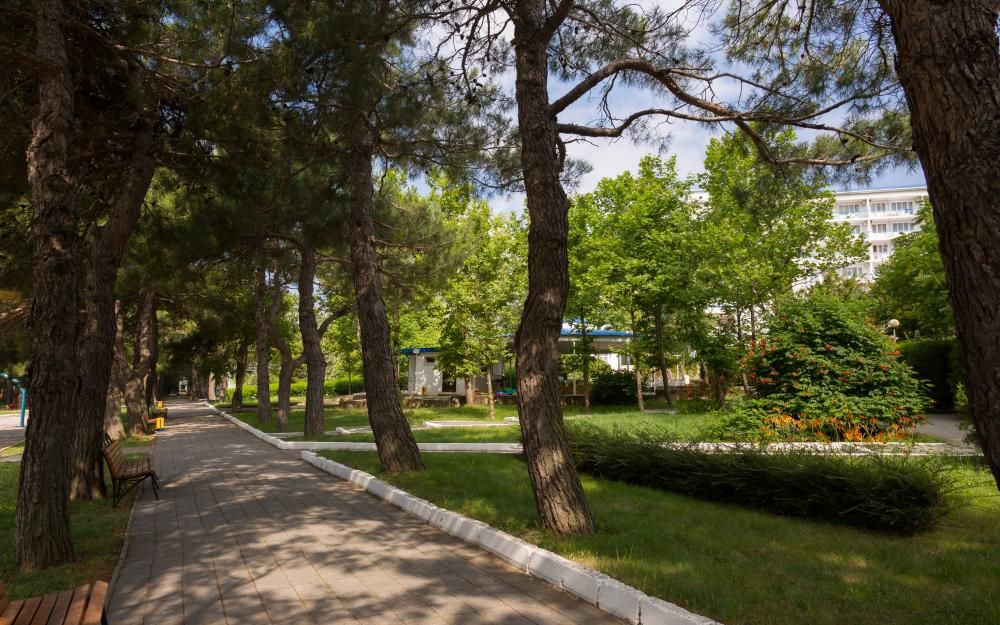 ORCHESTRA HORIZONT GELENDZHIK RESORT (бывш. ЛОК ГОРИЗОНТ) - 15