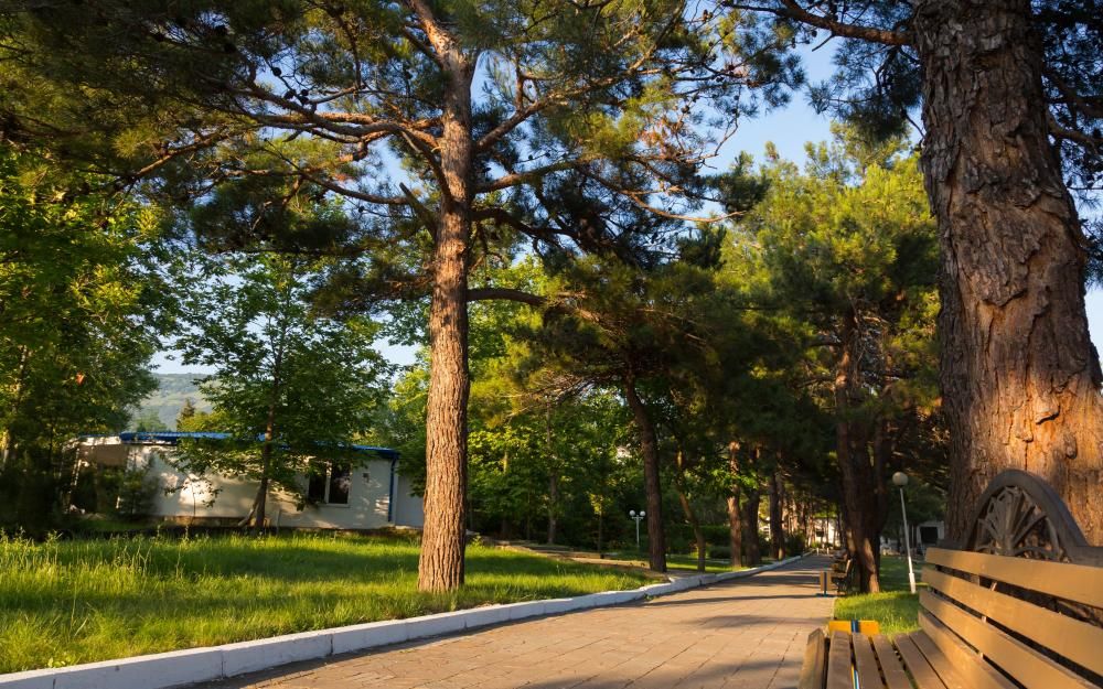 ORCHESTRA HORIZONT GELENDZHIK RESORT (бывш. ЛОК ГОРИЗОНТ) - 14