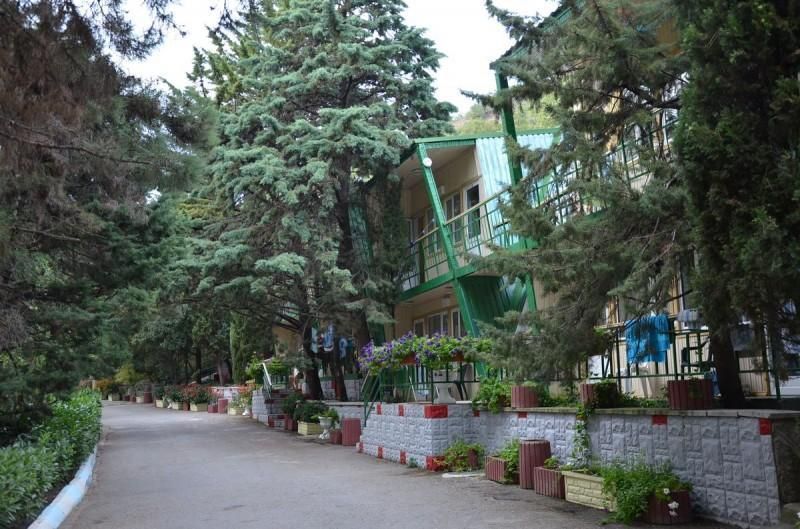 АЛЫЕ ПАРУСА, пансионат (Солнечногорское) - 10